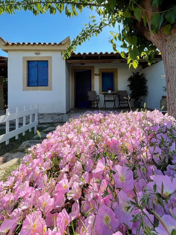 Vasilopoulos Estate Koróni 外观 照片